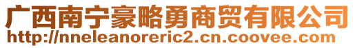 廣西南寧豪略勇商貿(mào)有限公司