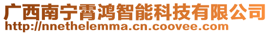 廣西南寧霄鴻智能科技有限公司