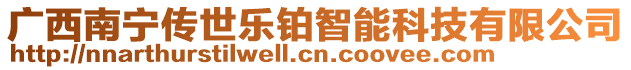 廣西南寧傳世樂鉑智能科技有限公司