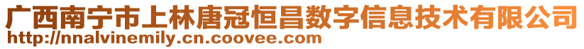 廣西南寧市上林唐冠恒昌數(shù)字信息技術(shù)有限公司