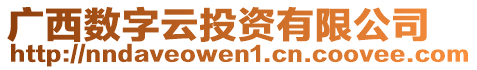 廣西數(shù)字云投資有限公司