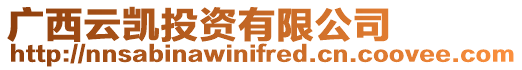 廣西云凱投資有限公司