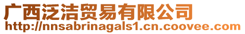 廣西泛潔貿易有限公司