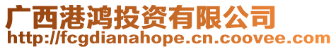廣西港鴻投資有限公司