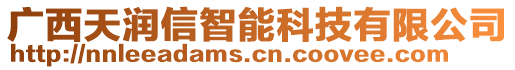 廣西天潤(rùn)信智能科技有限公司