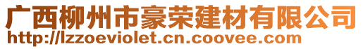 廣西柳州市豪榮建材有限公司