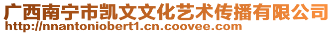 廣西南寧市凱文文化藝術(shù)傳播有限公司