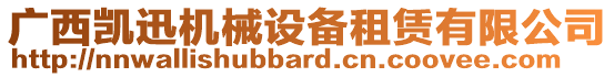 广西凯迅机械设备租赁有限公司