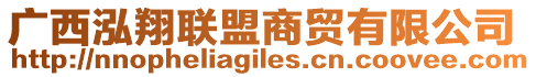 廣西泓翔聯(lián)盟商貿(mào)有限公司