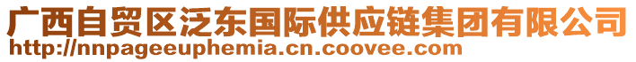 廣西自貿(mào)區(qū)泛東國際供應(yīng)鏈集團(tuán)有限公司