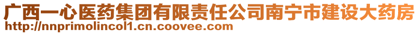 廣西一心醫(yī)藥集團(tuán)有限責(zé)任公司南寧市建設(shè)大藥房