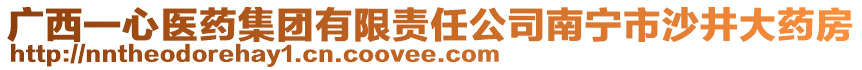 廣西一心醫(yī)藥集團(tuán)有限責(zé)任公司南寧市沙井大藥房