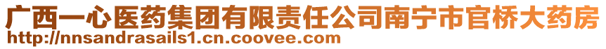 廣西一心醫(yī)藥集團(tuán)有限責(zé)任公司南寧市官橋大藥房