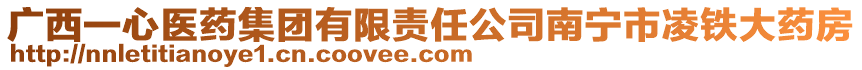 廣西一心醫(yī)藥集團(tuán)有限責(zé)任公司南寧市凌鐵大藥房