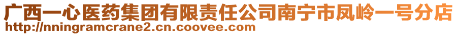 廣西一心醫(yī)藥集團有限責任公司南寧市鳳嶺一號分店