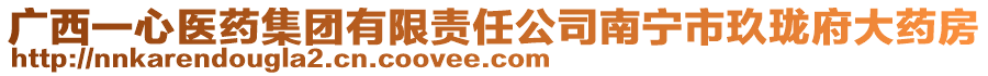 廣西一心醫(yī)藥集團有限責任公司南寧市玖瓏府大藥房