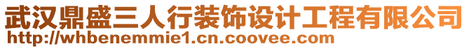 武漢鼎盛三人行裝飾設(shè)計(jì)工程有限公司