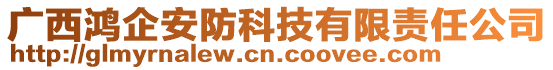 廣西鴻企安防科技有限責(zé)任公司