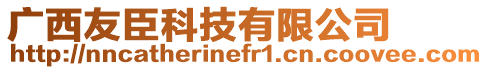 廣西友臣科技有限公司