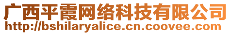 廣西平霞網(wǎng)絡(luò)科技有限公司