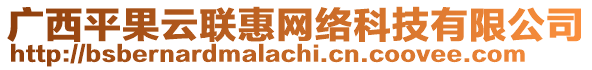 廣西平果云聯(lián)惠網(wǎng)絡(luò)科技有限公司