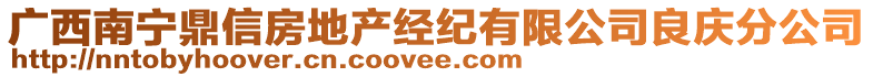 廣西南寧鼎信房地產(chǎn)經(jīng)紀(jì)有限公司良慶分公司