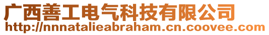 廣西善工電氣科技有限公司