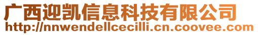 廣西迎凱信息科技有限公司