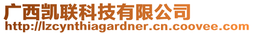 廣西凱聯(lián)科技有限公司