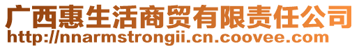 廣西惠生活商貿(mào)有限責(zé)任公司