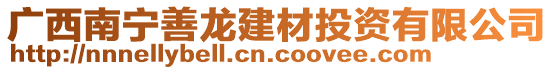 廣西南寧善龍建材投資有限公司