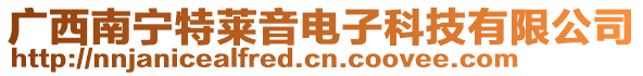 廣西南寧特萊音電子科技有限公司