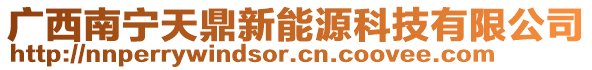廣西南寧天鼎新能源科技有限公司