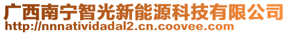 廣西南寧智光新能源科技有限公司