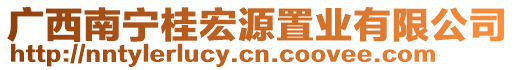 廣西南寧桂宏源置業(yè)有限公司