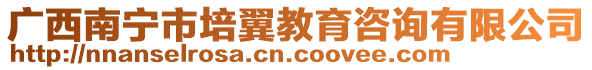 廣西南寧市培翼教育咨詢有限公司