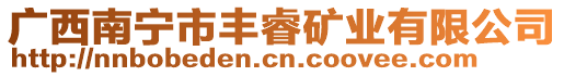 廣西南寧市豐睿礦業有限公司