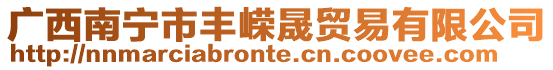 廣西南寧市豐嶸晟貿易有限公司