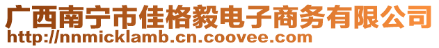 廣西南寧市佳格毅電子商務有限公司