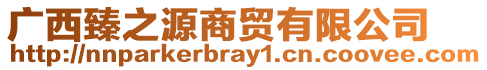 廣西臻之源商貿有限公司