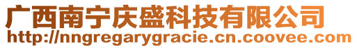 廣西南寧慶盛科技有限公司