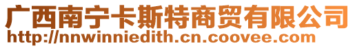 廣西南寧卡斯特商貿有限公司