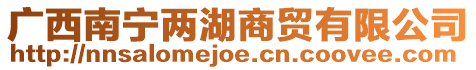 廣西南寧兩湖商貿有限公司