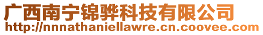 廣西南寧錦驊科技有限公司
