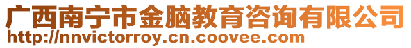 廣西南寧市金腦教育咨詢有限公司