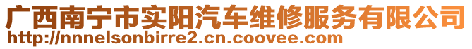 廣西南寧市實陽汽車維修服務(wù)有限公司