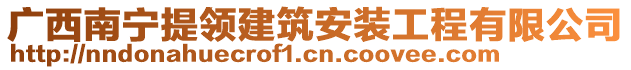 廣西南寧提領(lǐng)建筑安裝工程有限公司