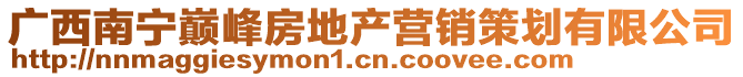 廣西南寧巔峰房地產(chǎn)營(yíng)銷策劃有限公司