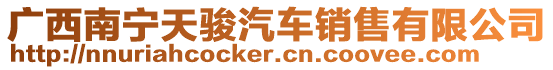 廣西南寧天駿汽車銷售有限公司