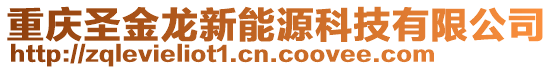 重慶圣金龍新能源科技有限公司